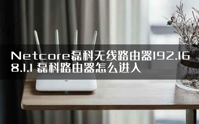 Netcore磊科无线路由器192.168.1.1 磊科路由器怎么进入