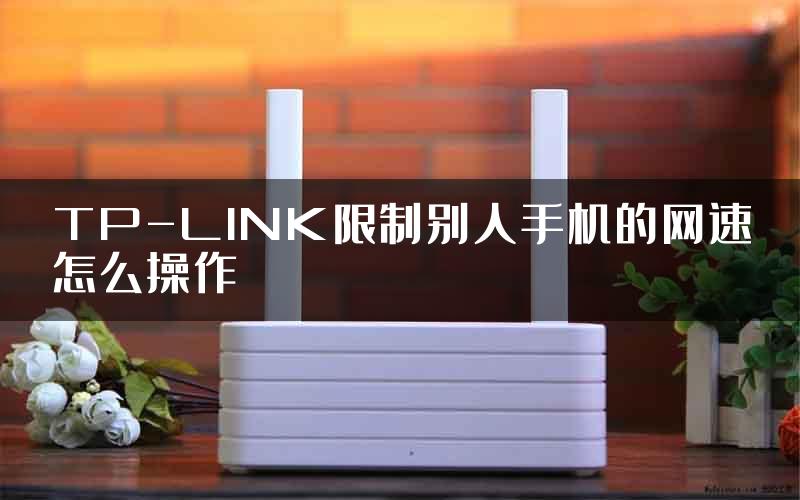 TP-LINK限制别人手机的网速怎么操作