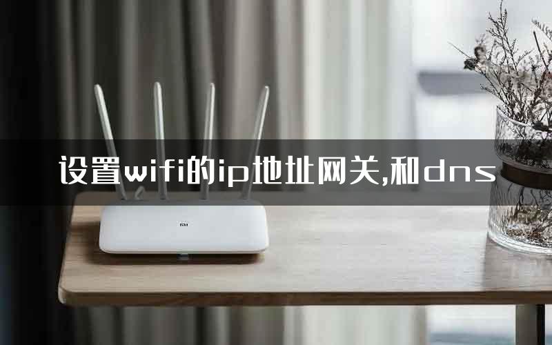 设置wifi的ip地址网关,和dns