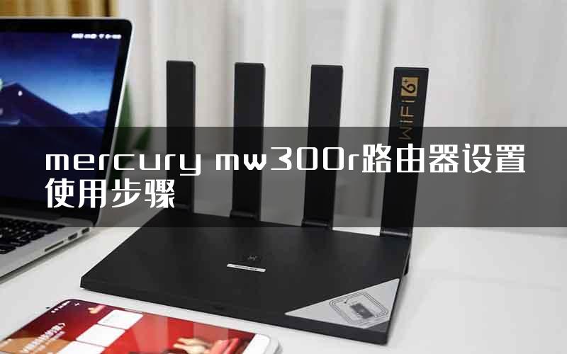 mercury mw300r路由器设置使用步骤