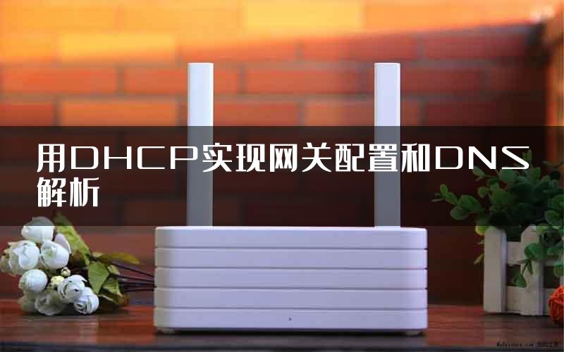 用DHCP实现网关配置和DNS解析