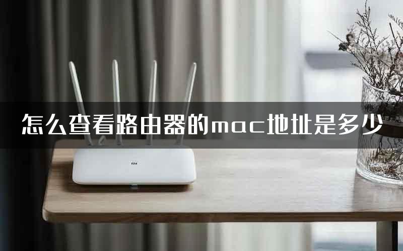 怎么查看路由器的mac地址是多少