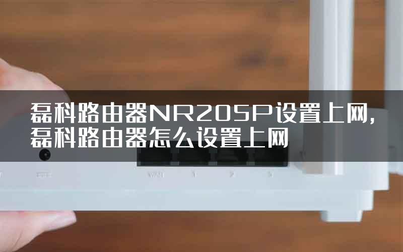 磊科路由器NR205P设置上网,磊科路由器怎么设置上网