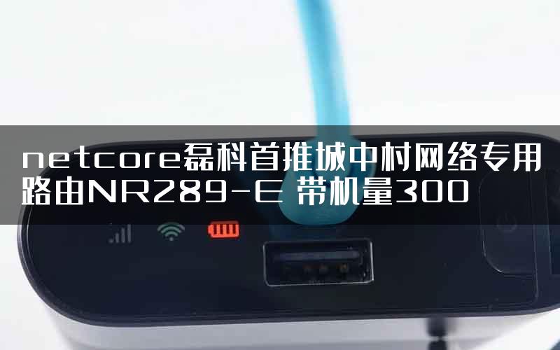 netcore磊科首推城中村网络专用路由NR289-E 带机量300