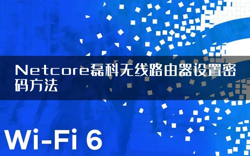 Netcore磊科无线路由器设置密码方法