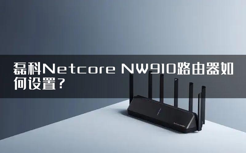 磊科Netcore NW910路由器如何设置？