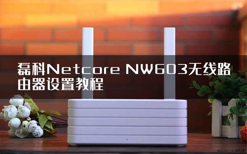 磊科Netcore NW603无线路由器设置教程