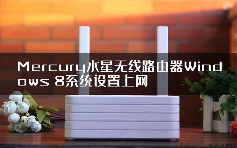 Mercury水星无线路由器Windows 8系统设置上网