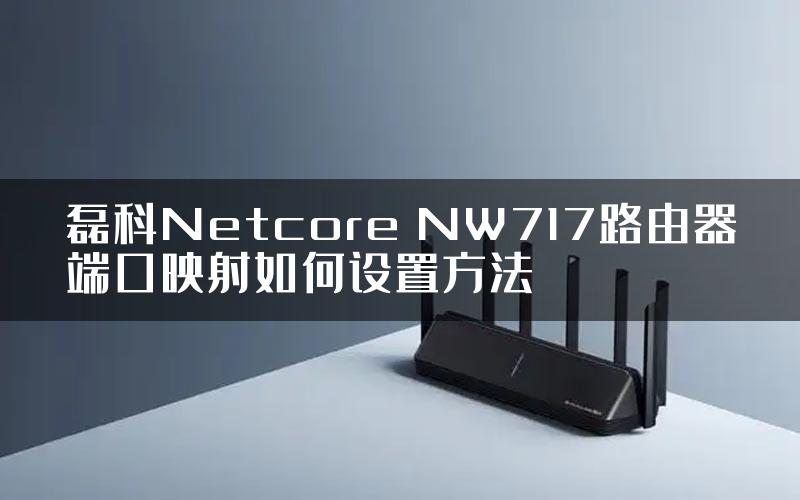 磊科Netcore NW717路由器端口映射如何设置方法