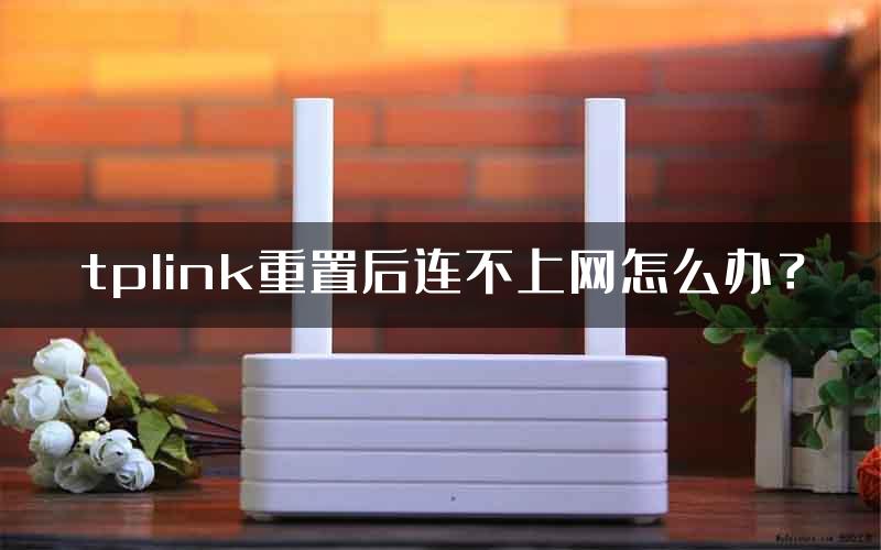 tplink重置后连不上网怎么办？