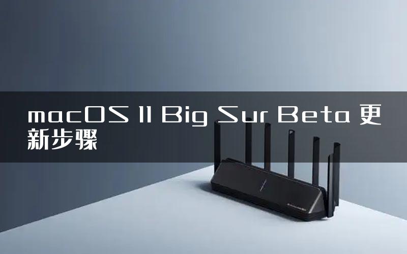 macOS 11 Big Sur Beta 更新步骤