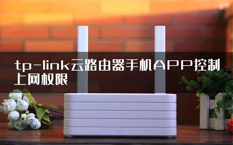 tp-link云路由器手机APP控制上网权限