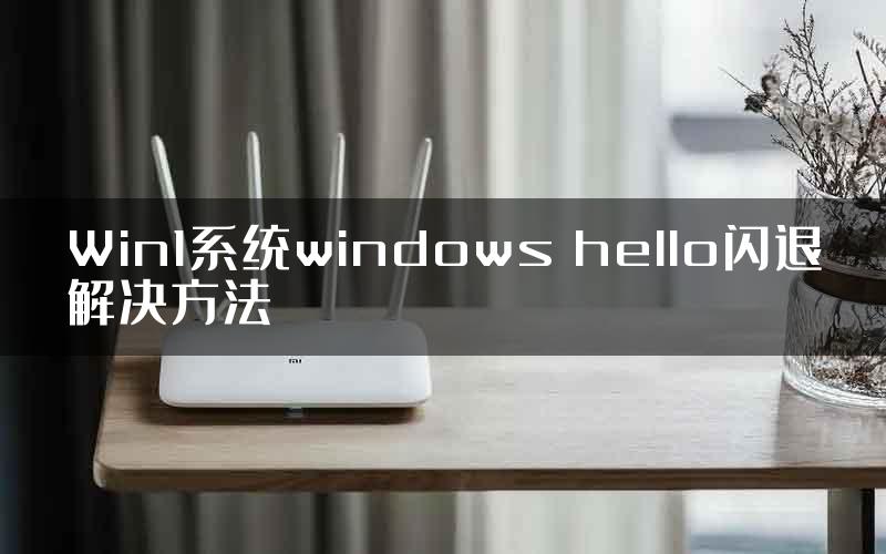 Win1系统windows hello闪退解决方法