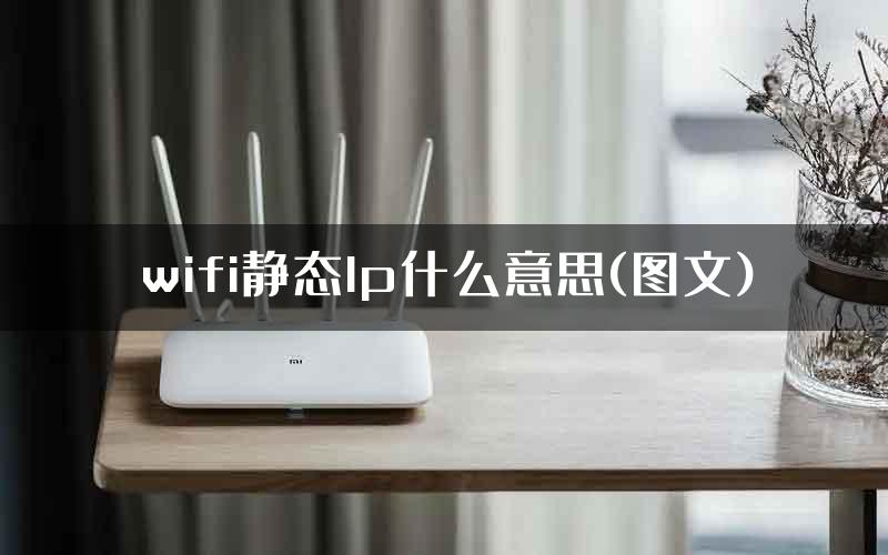 wifi静态lp什么意思(图文)