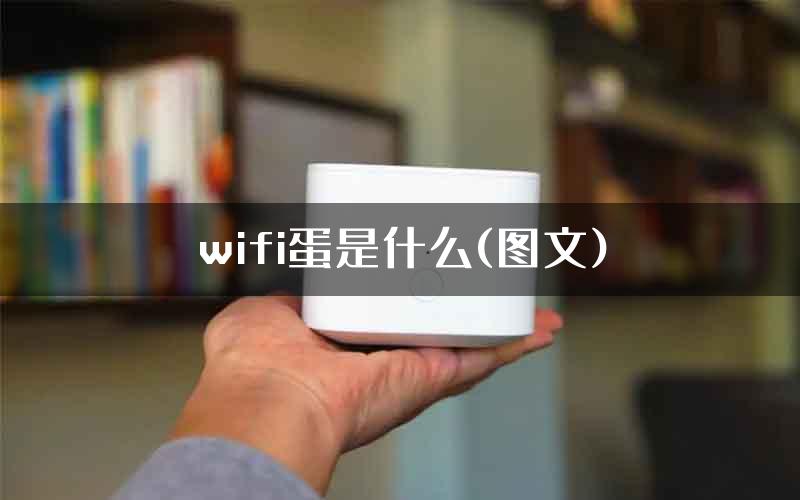 wifi蛋是什么(图文)