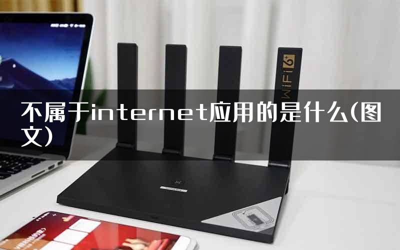 不属于internet应用的是什么(图文)