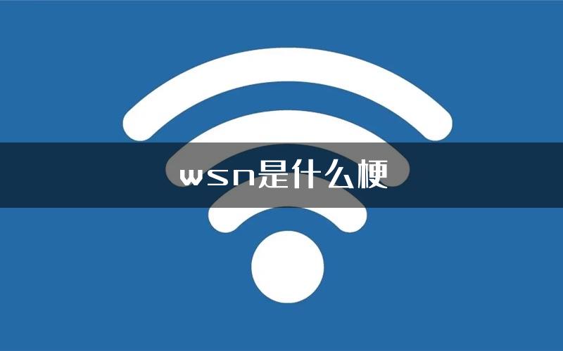 wsn是什么梗