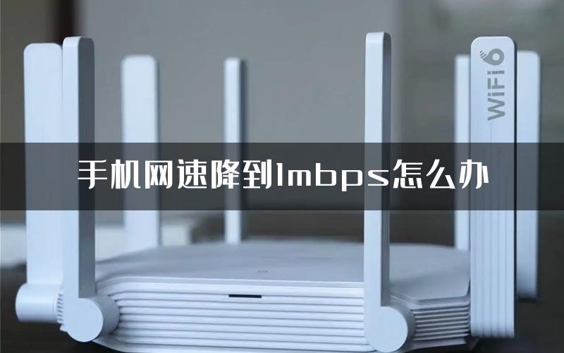 手机网速降到1mbps怎么办