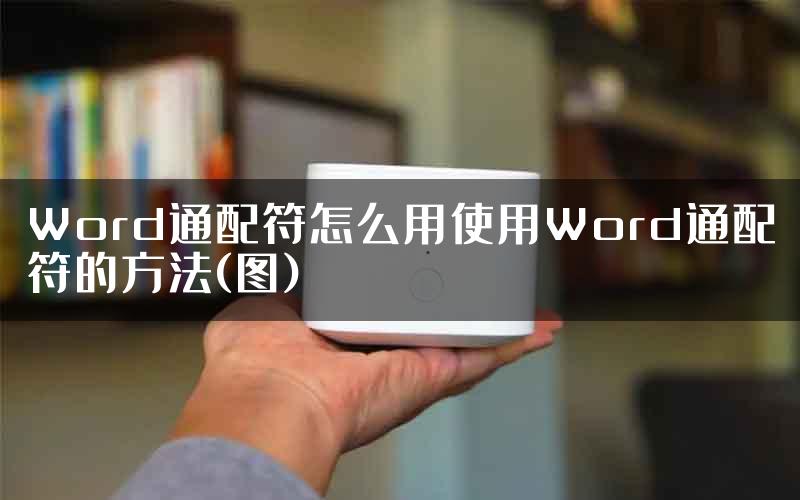 Word通配符怎么用使用Word通配符的方法(图)