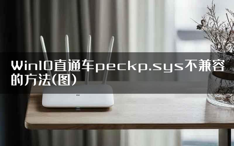 Win10直通车peckp.sys不兼容的方法(图)