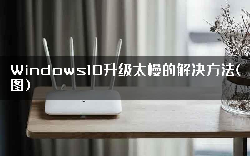 Windows10升级太慢的解决方法(图)