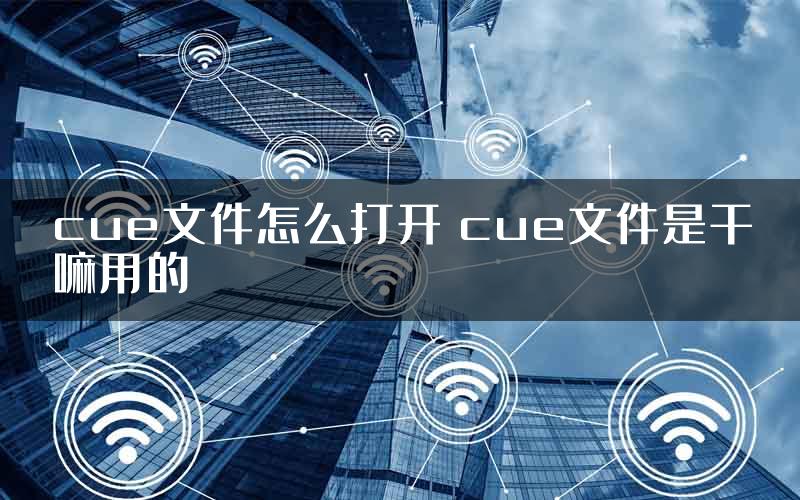 cue文件怎么打开 cue文件是干嘛用的