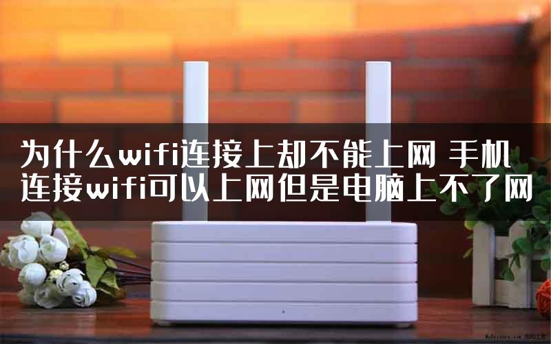 为什么wifi连接上却不能上网 手机连接wifi可以上网但是电脑上不了网