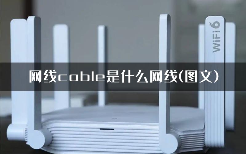 网线cable是什么网线(图文)