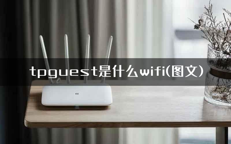 tpguest是什么wifi(图文)