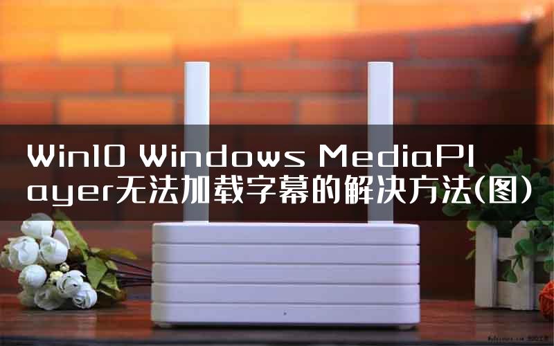 Win10 Windows MediaPlayer无法加载字幕的解决方法(图)