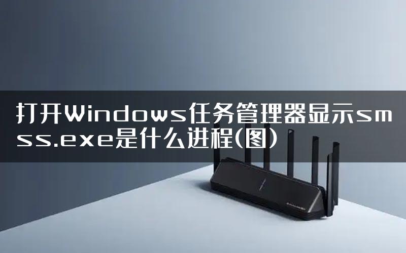 打开Windows任务管理器显示smss.exe是什么进程(图)