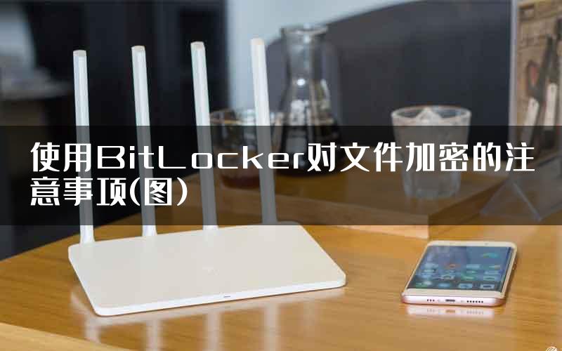 使用BitLocker对文件加密的注意事项(图)