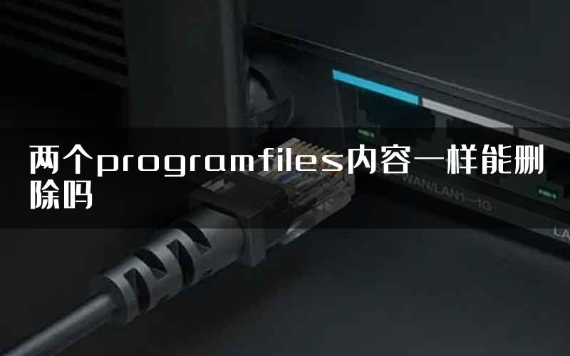 两个programfiles内容一样能删除吗