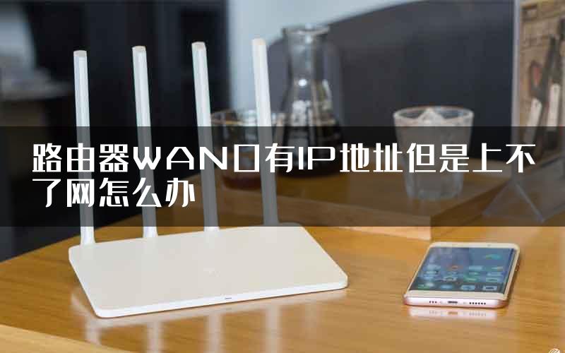 路由器WAN口有IP地址但是上不了网怎么办