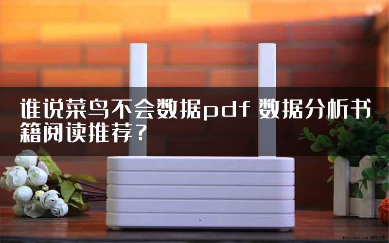 谁说菜鸟不会数据pdf 数据分析书籍阅读推荐？