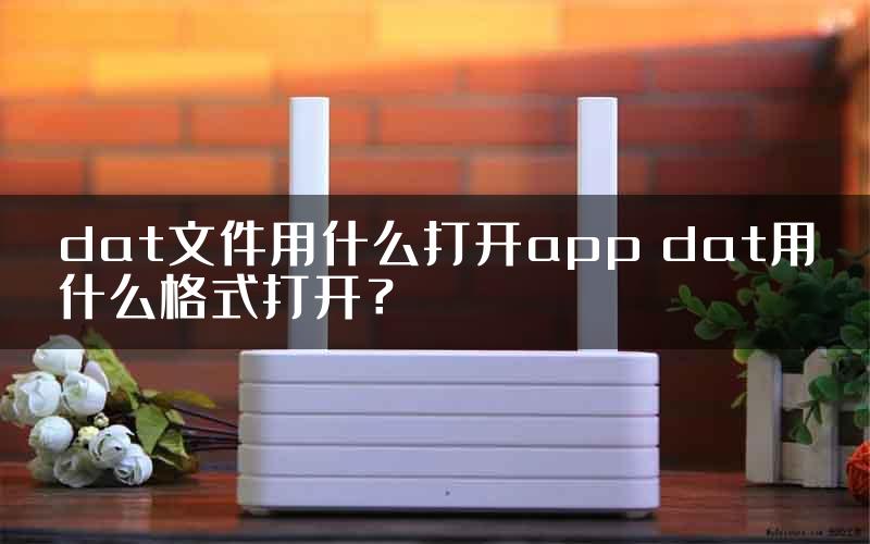 dat文件用什么打开app dat用什么格式打开？