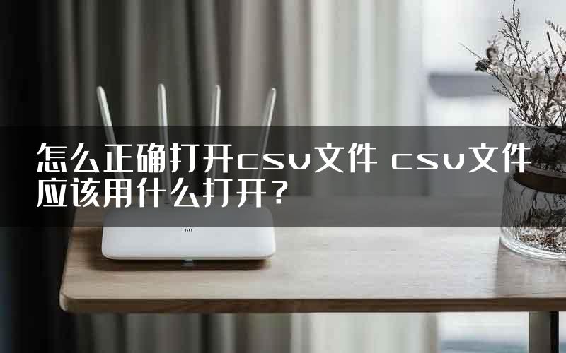 怎么正确打开csv文件 csv文件应该用什么打开？