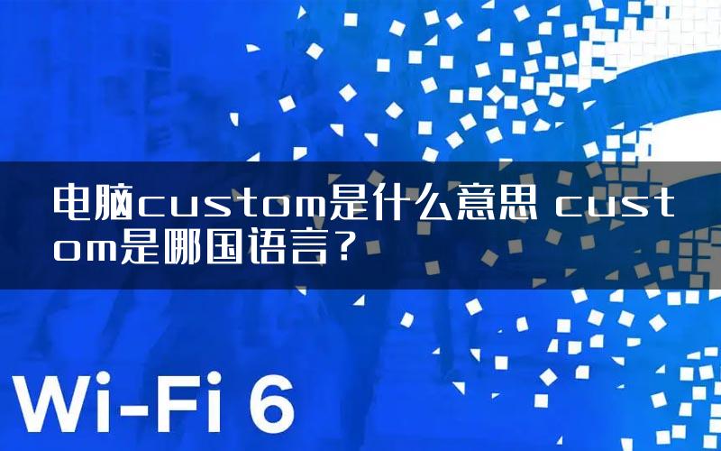 电脑custom是什么意思 custom是哪国语言？