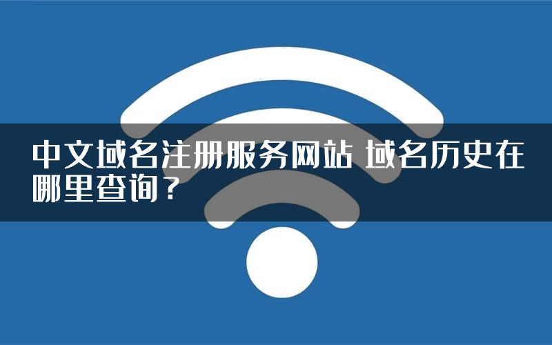 中文域名注册服务网站 域名历史在哪里查询？