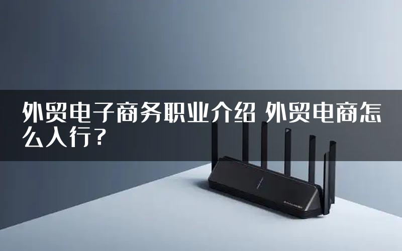 外贸电子商务职业介绍 外贸电商怎么入行？