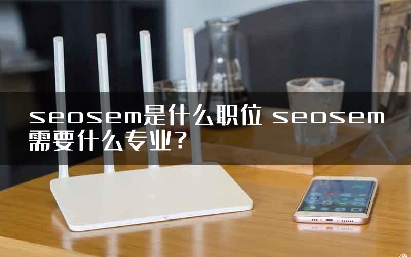 seosem是什么职位 seosem需要什么专业？