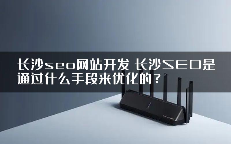 长沙seo网站开发 长沙SEO是通过什么手段来优化的？