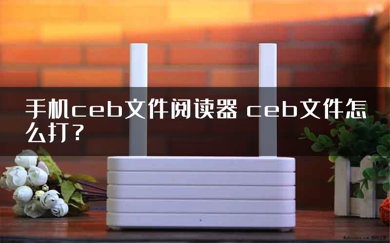 手机ceb文件阅读器 ceb文件怎么打？