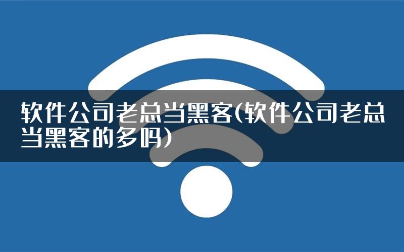 软件公司老总当黑客(软件公司老总当黑客的多吗)