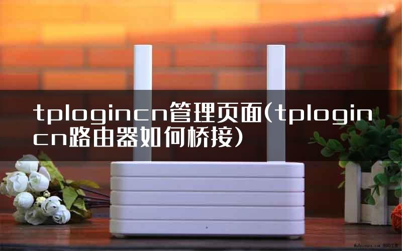 tplogincn管理页面(tplogincn路由器如何桥接)