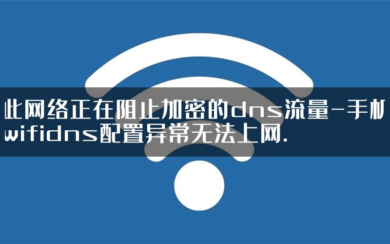 此网络正在阻止加密的dns流量-手机wifidns配置异常无法上网.