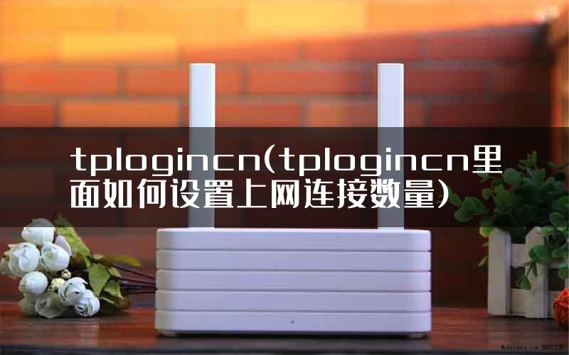 tplogincn(tplogincn里面如何设置上网连接数量)