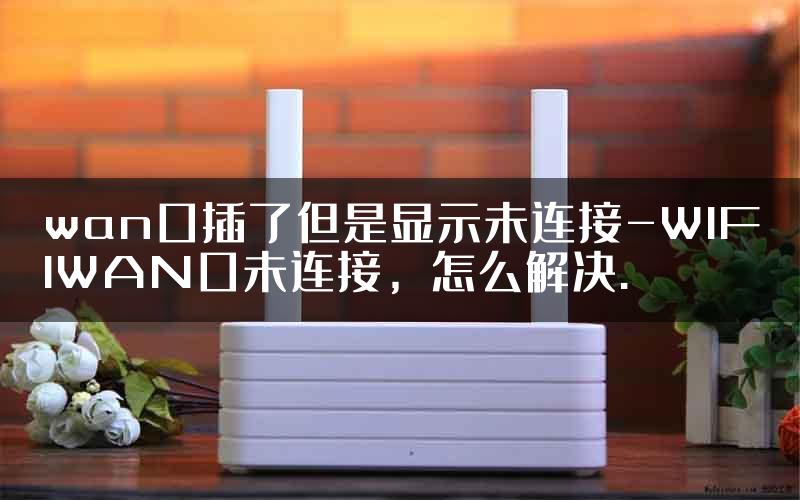 wan口插了但是显示未连接-WIFIWAN口未连接，怎么解决.