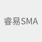 睿易smart