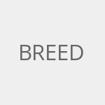 breed